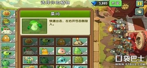 植物大战僵尸2功夫世界第13天三星通关攻略